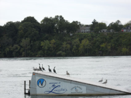 A water ski ramp in the Niagara River near Lewiston, NY.