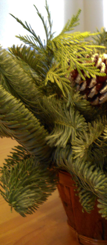 A Christmas bouquet of douglas fir sprigs and pine cones.